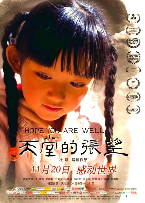 《天堂的张望》免费观看完整版电视剧 | 催泪亲情剧在线播放 | 张望命运感人至深