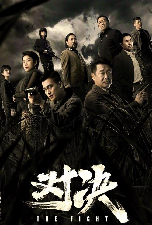 《对决》全集在线观看免费完整版,高清资源抢先看,悬疑刑侦剧迷必追