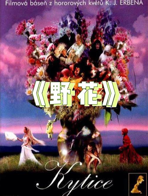 野花高清完整版在线观看免费中文 | 野花电影全集资源 | 最新野花未删减版