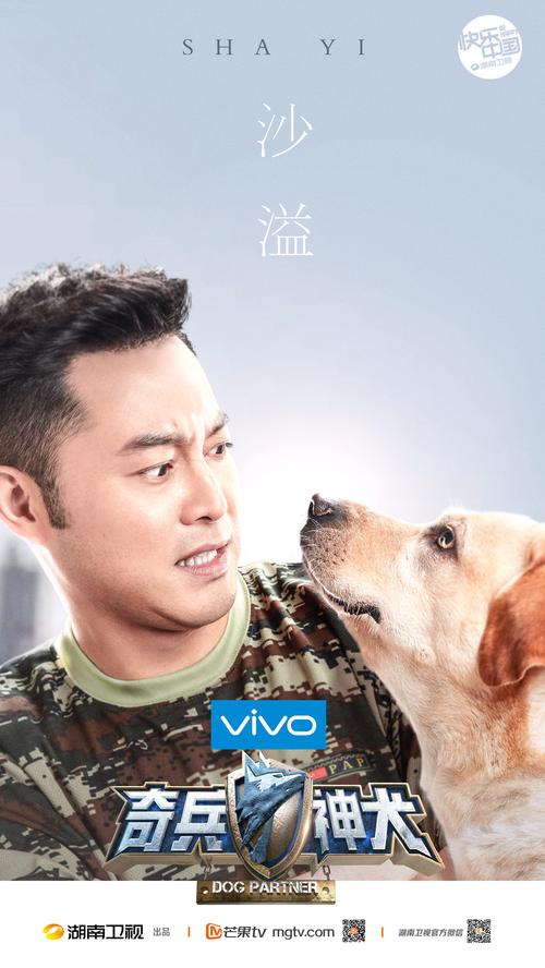 神犬奇兵38集免费观看大结局剧情解读,军犬情感催泪长尾关键词推荐