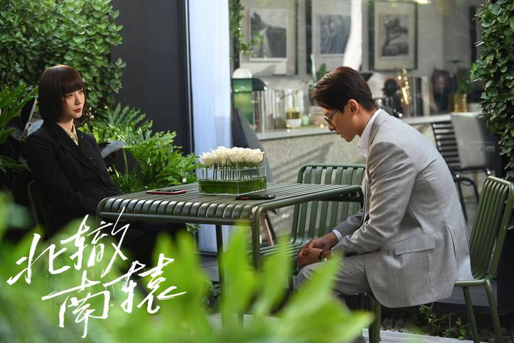 北辙南辕电视剧在线观看免费 | 冯小刚导演女性群像剧高清全集资源