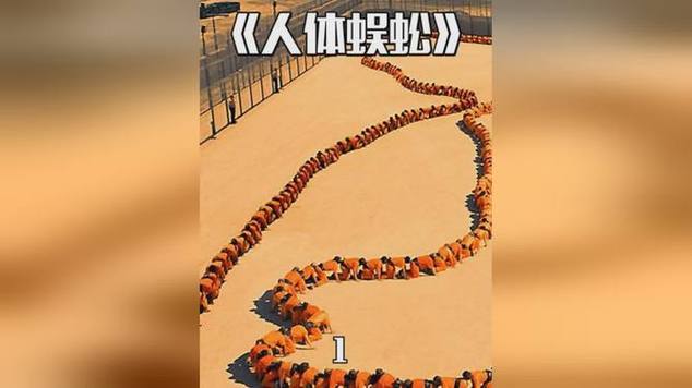 阿v免费视频手机免费观看 - 高清无广告在线追剧神器，随时随地畅享海量影视资源