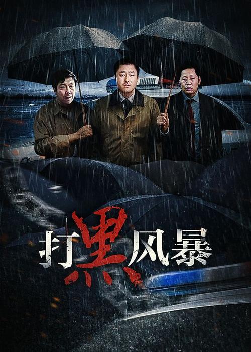 打黑风暴电视剧全集免费观看,扫黑反腐剧情深度解析,高能反转长尾关键词