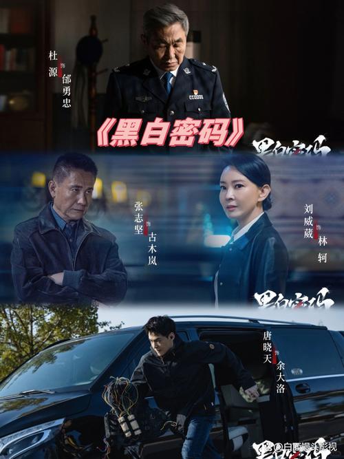 黑白密码电视剧免费观看全集高清 | 悬疑刑侦剧在线资源 | 高清无删减全集