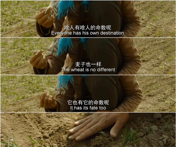 隐入尘烟免费观看 | 农村爱情电影在线 | 马有铁曹贵英催泪故事