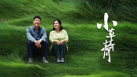 青青青免费视频在线观看 | 高清流畅免费影视资源 | 热门长尾关键词推荐