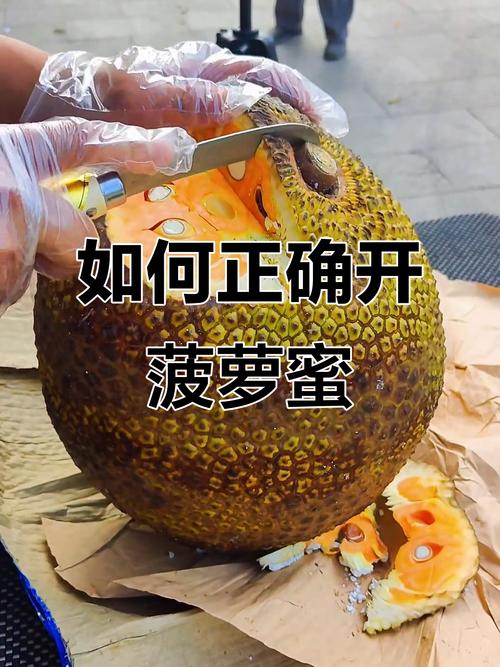 免费观看菠萝蜜视频大全:高清完整版在线播放,解锁热带水果种植与采摘全纪录