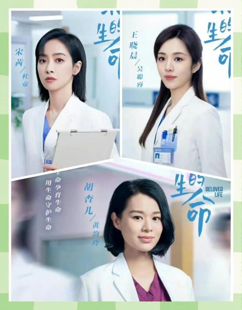 《亲爱的生命》电视剧免费观看完整版 | 在线追剧、产科职场、女性成长治愈