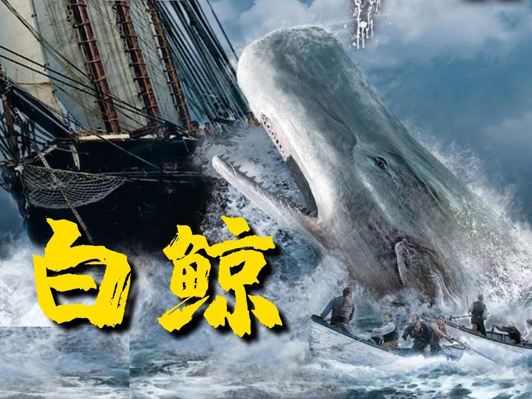 免费观看《白鲸》电影完整版 | 白鲸冒险电影在线资源 | 白鲸经典文学改编影片高清