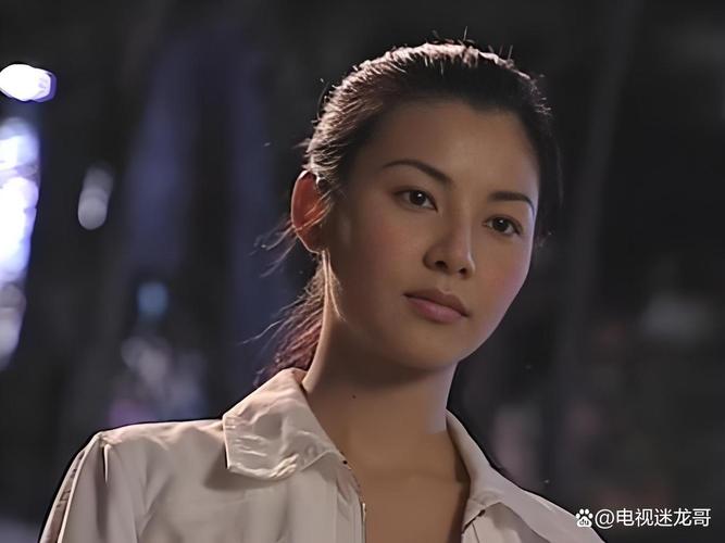 法证先锋第一部免费观看 | 1-25集全高清在线资源 | 经典港剧刑侦推理探案