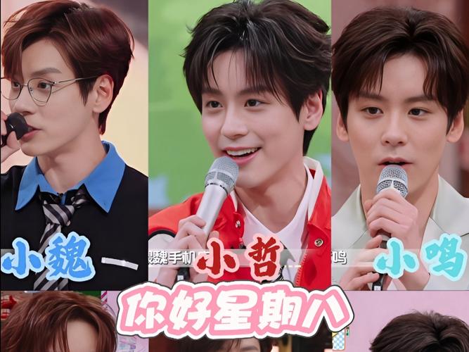 你好星期六免费观看完整版2023:最新一期综艺在线观看,完整版高清资源