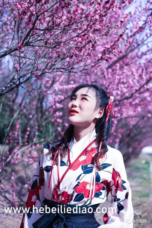 桃花视频免费在线观看|高清影视资源尽情播放,长尾关键词:桃花视频在线观看、免费影视播放、高清视频资源