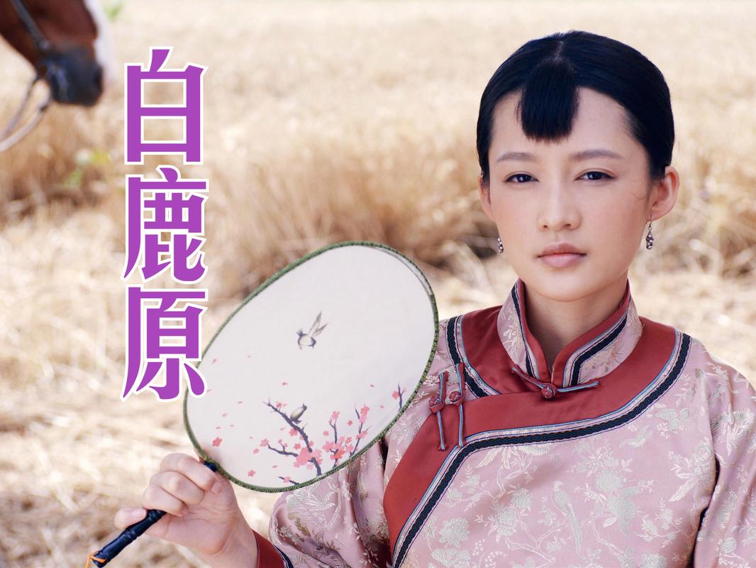《白鹿原》电视剧免费观看完整版在线观看|高清全集资源|陕西关中家族史诗