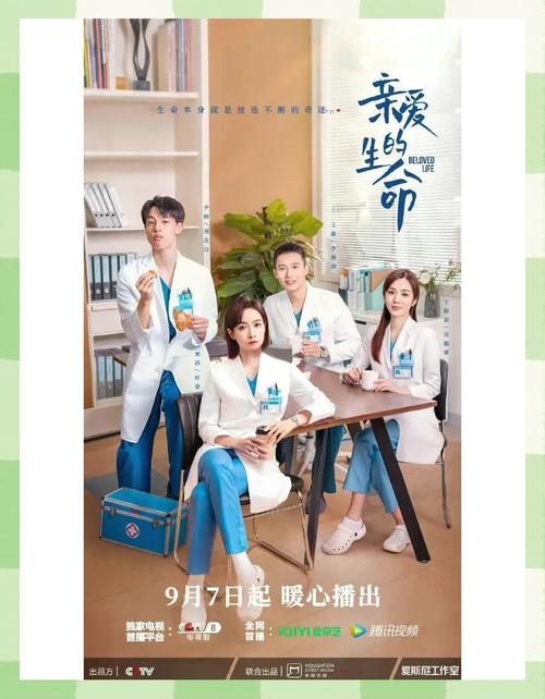 《亲爱的生命》电视剧免费观看完整版 | 在线追剧、产科职场、女性成长治愈