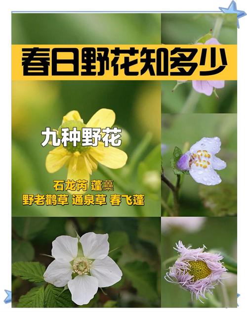 秋霞网在线观看秋理免费 | 高清无删减版在线播放 | 最新日韩影视资源推荐