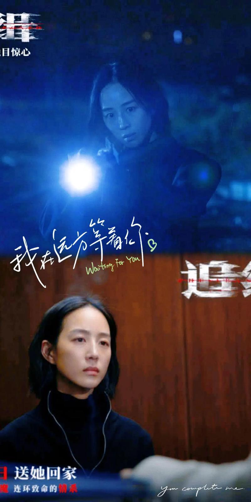 追缉全集免费观看完整版 | 高清在线追剧、无删减大结局