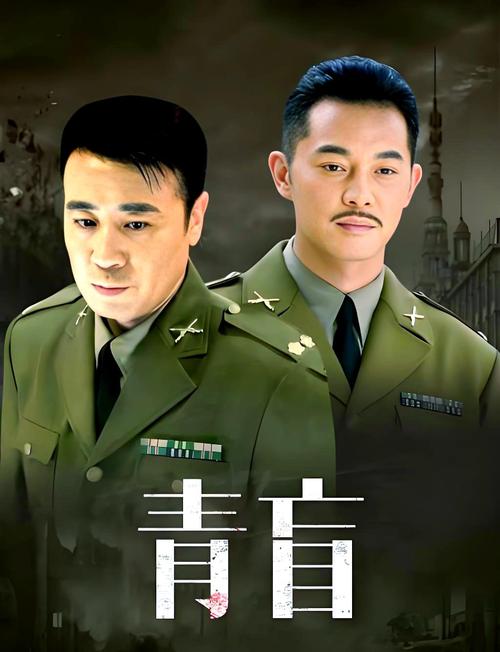 青盲电视剧全集在线高清免费观看,越狱悬疑谍战剧资源,高清完整版在线追剧
