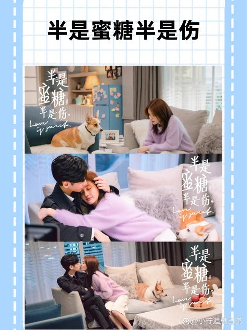 《半是蜜糖半是伤》免费观看全集|在线资源|正版高清|全集播放