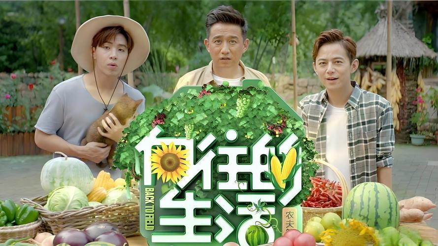 向往的生活1季在线观看免费 | 高清完整版全集资源 | 何炅黄磊经典综艺回顾