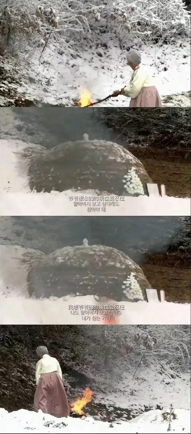 逆袭之星途璀璨免费观看全集 | 剧情解析与隐藏结局揭秘，女主演技逆袭之路全收录