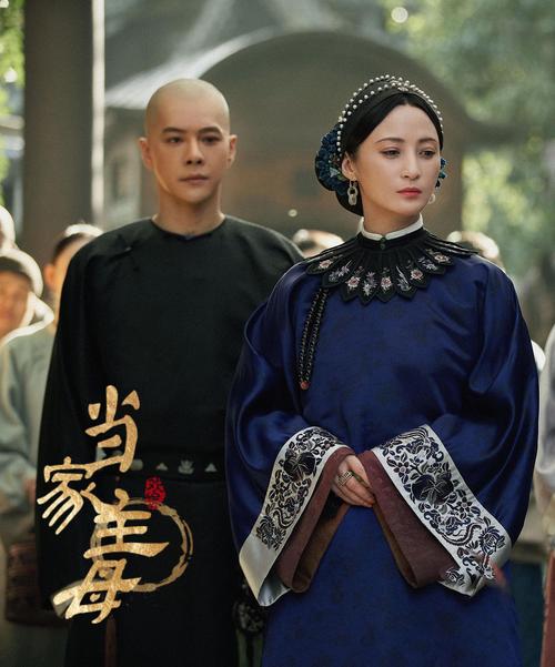《当家主母》免费观看全集高清资源,古装宅斗大戏在线追剧指南