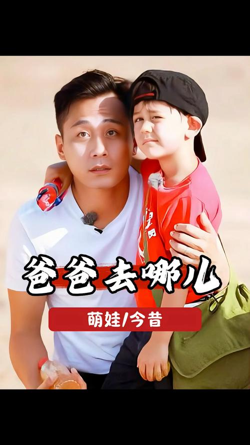 爸爸去哪儿3免费观看全集在线播放,重温萌娃与爸爸的搞笑温情瞬间