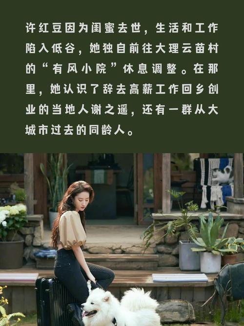 去有风的地方40集免费观看 | 治愈系田园剧全集在线追剧 | 刘亦菲李现高甜名场面一次性看够