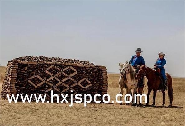 九首歌完整版免费在线观看中文高清 | 未删减剧情解读、在线播放资源