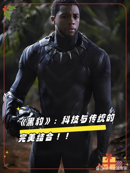 黑豹免费观看完整高清版 | 漫威超级英雄电影在线看 | 2024最新4K资源