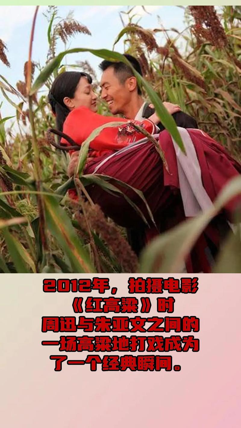 红高粱电视剧全集免费观看完整版|周迅黄渤主演经典年代剧在线看|高清无删减全集资源