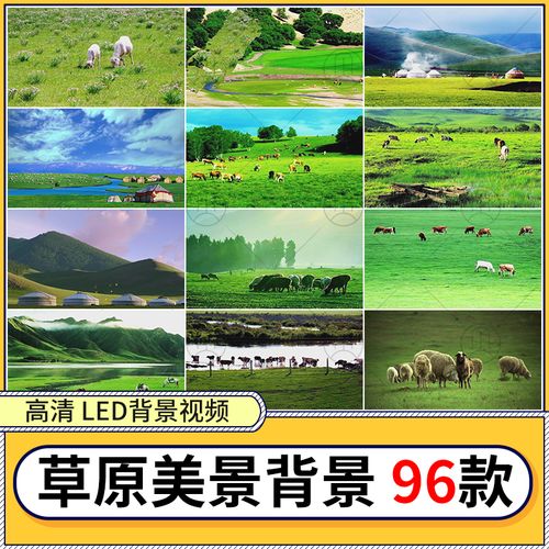 免费观看青青草原视频全集,高清在线追番不卡顿