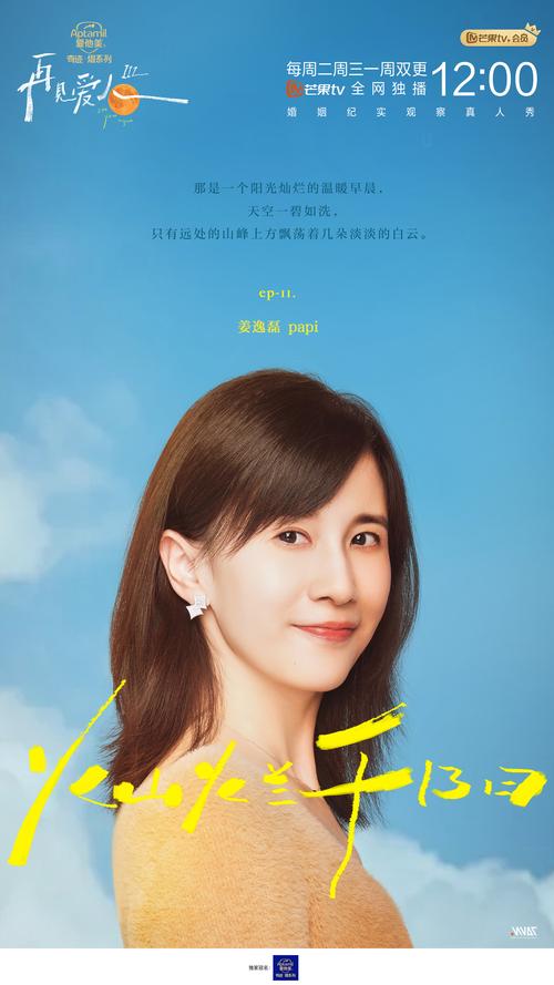 《再见爱人第三季》在线观看免费完整版:揭秘婚姻困境与情感修复(无删减/高清/全集资源)