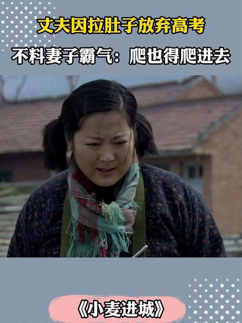 《小麦进城》全集在线看免费观看|年代励志剧高清资源|怀旧农村题材电视剧推荐