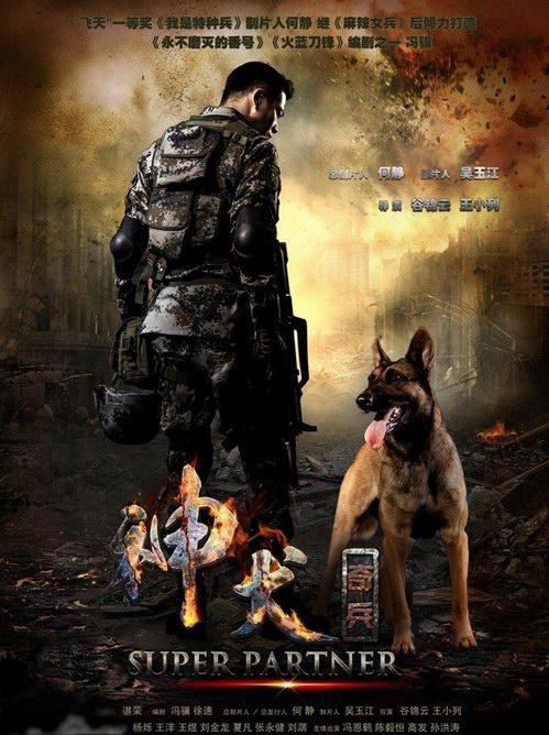 神犬奇兵38集免费观看大结局剧情解读,军犬情感催泪长尾关键词推荐