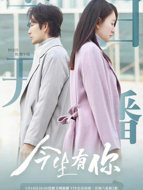《今生有你》免费观看全集 | 钟汉良李小冉虐恋 | 高清在线 | 大结局抢先看