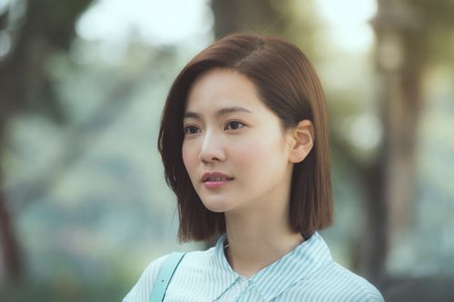 稍息立正我爱你免费观看 | 校园甜宠剧全集在线看(高清资源/完结版/百度云)