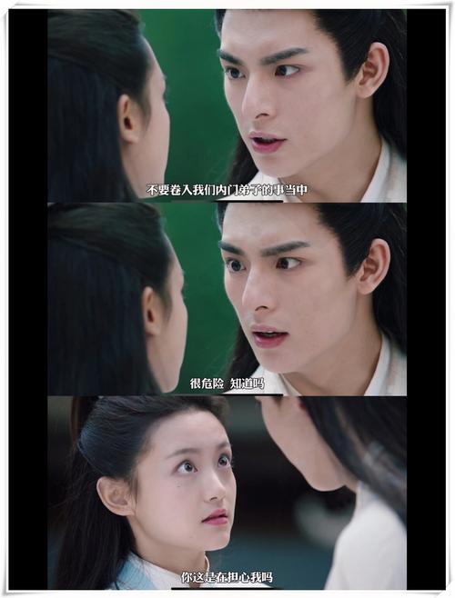 师兄请按剧本来电视剧免费观看全集在线播放,高甜反转剧集推荐抢先看