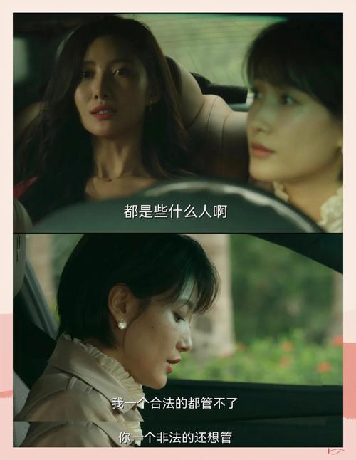 《回响》电视剧免费观看完整版:悬疑追凶与婚姻真相的深度解读