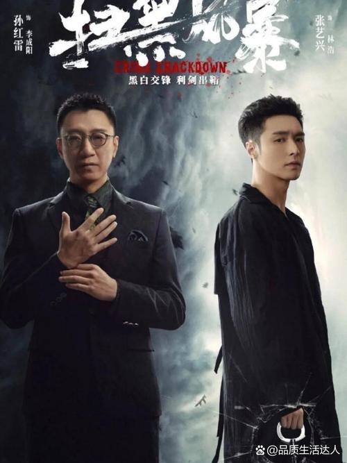 《扫黑风暴》在线观看免费完整版,一口气追完扫黑风暴全集,无删减版高清资源
