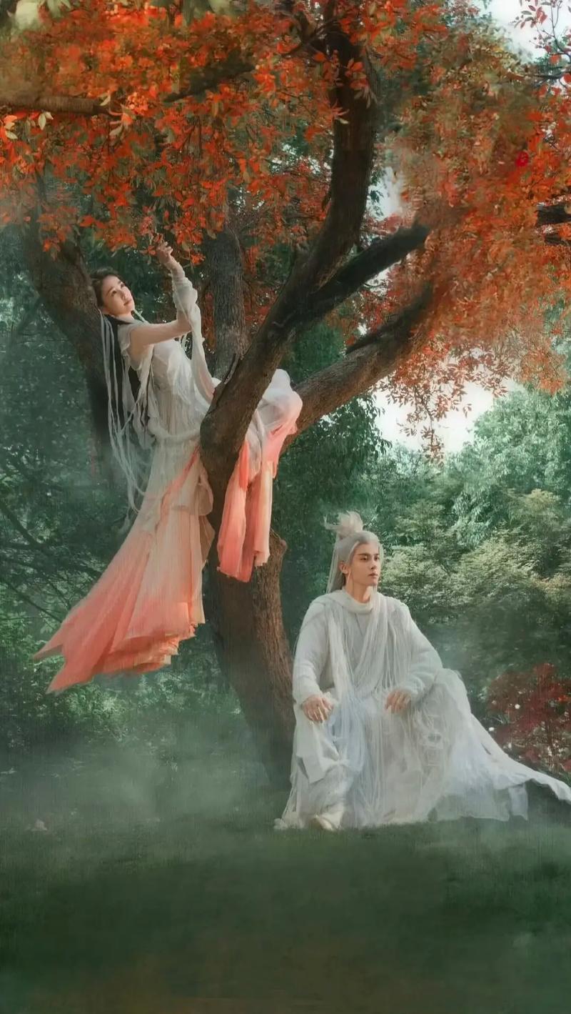 免费追剧神器|电视剧大全在线观看|高清全集资源一网打尽