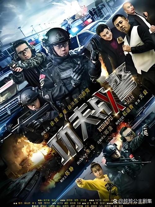 《功夫战警》免费观看完整版 | 动作警匪、高清资源、在线播放