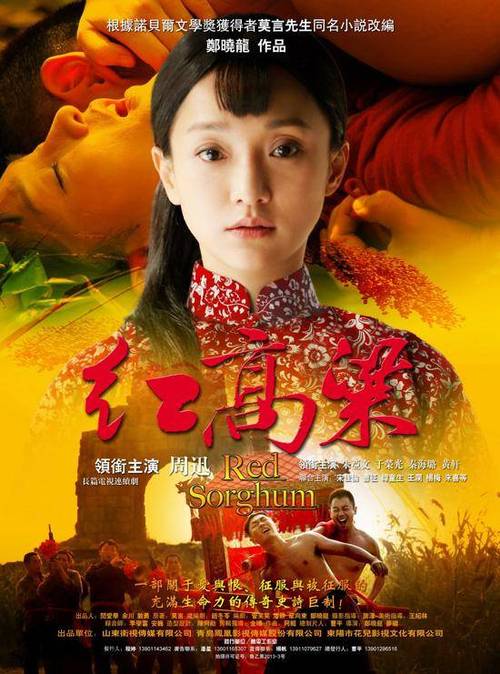 红高粱电视剧全集免费观看完整版|周迅黄渤主演经典年代剧在线看|高清无删减全集资源