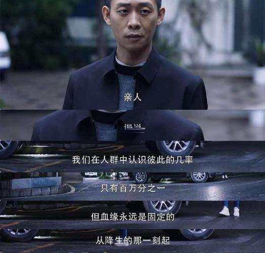 《谁是凶手》电视剧免费观看全集资源 | 悬疑剧推荐、赵丽颖肖央主演、在线高清无删减