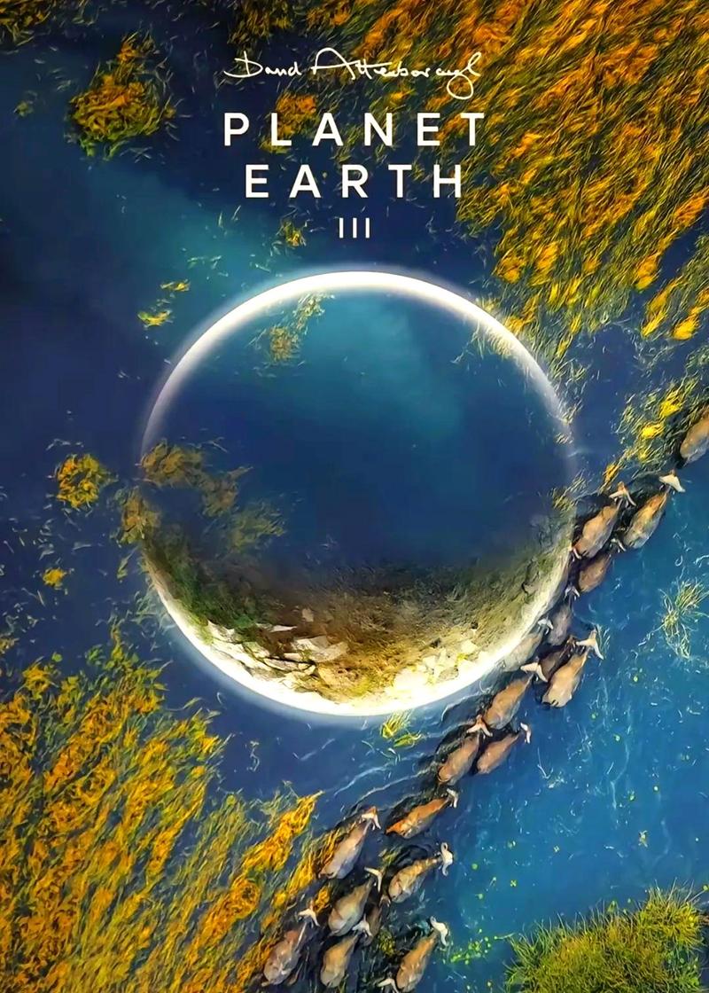 《地球脉动第一季免费观看》震撼纪录片：零成本探索自然奇观与野生动物秘境