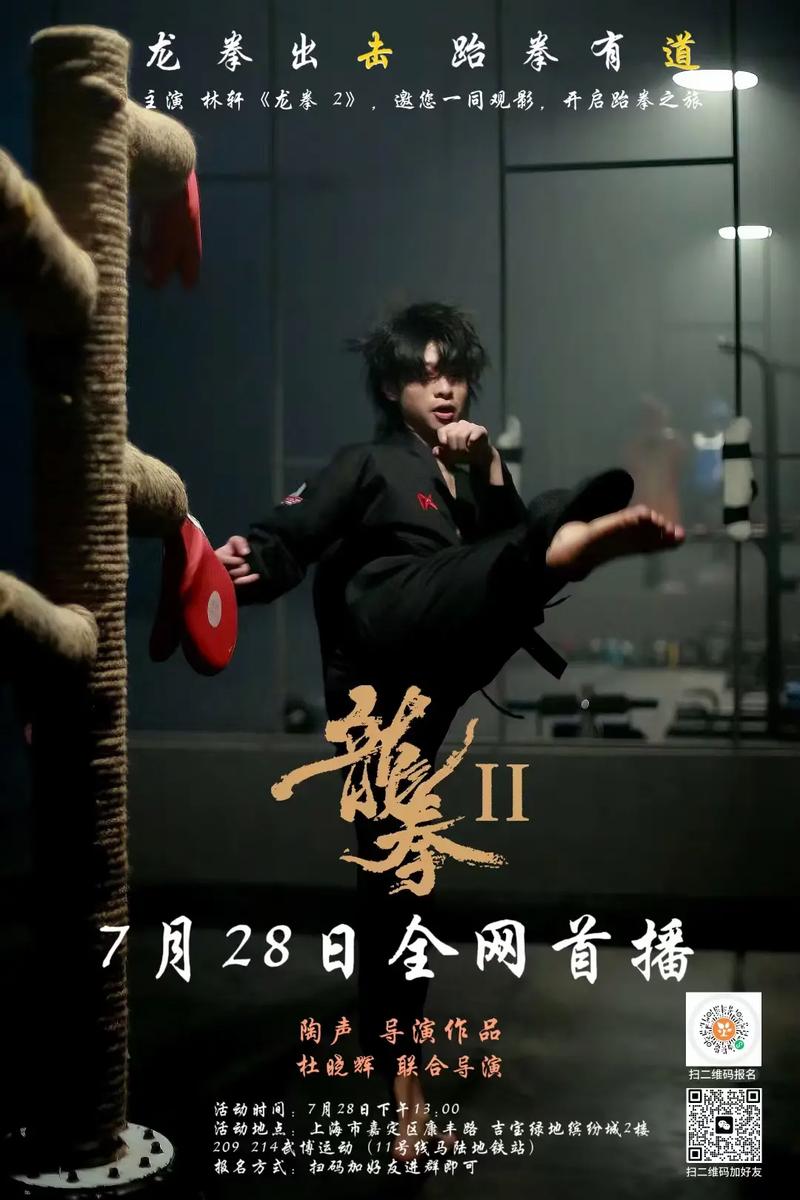 龙拳小子免费观看完整版 | 在线高清龙拳小子动作电影 | 龙拳小子热血少年格斗大片