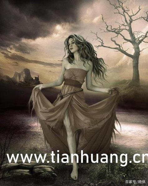 飞极速在线观看免费观看:2025最新影视资源全网极速播放,无需下载即点即看