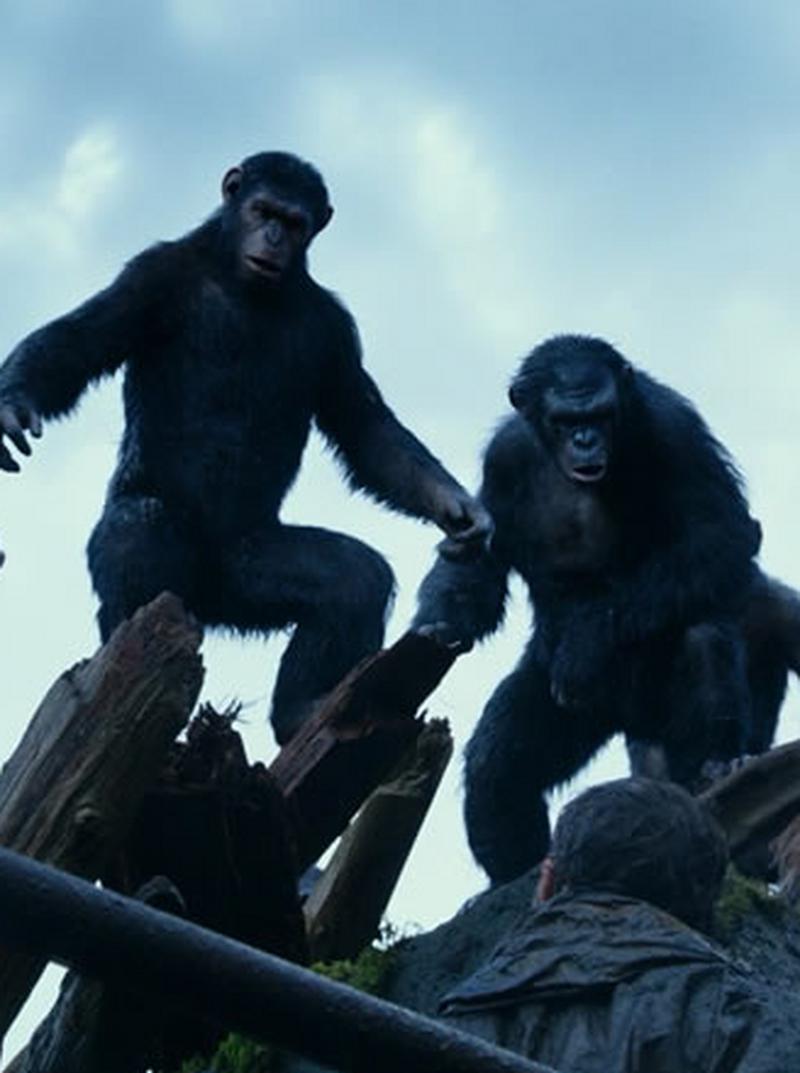 免费在线观看《猩球崛起2》完整版 | 猿族大战人类终极对决(高清资源/无删减/中文字幕)