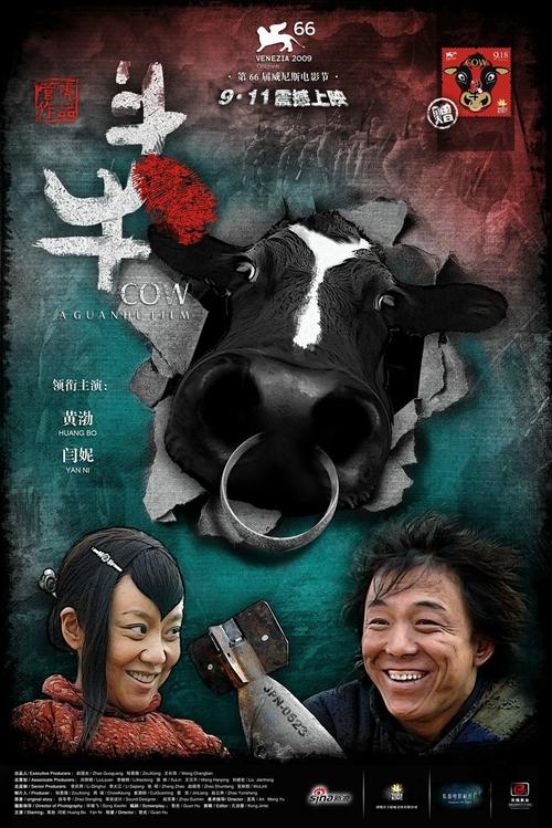 免费观看斗牛高清视频 | 斗牛比赛全程录像回放 在线直播