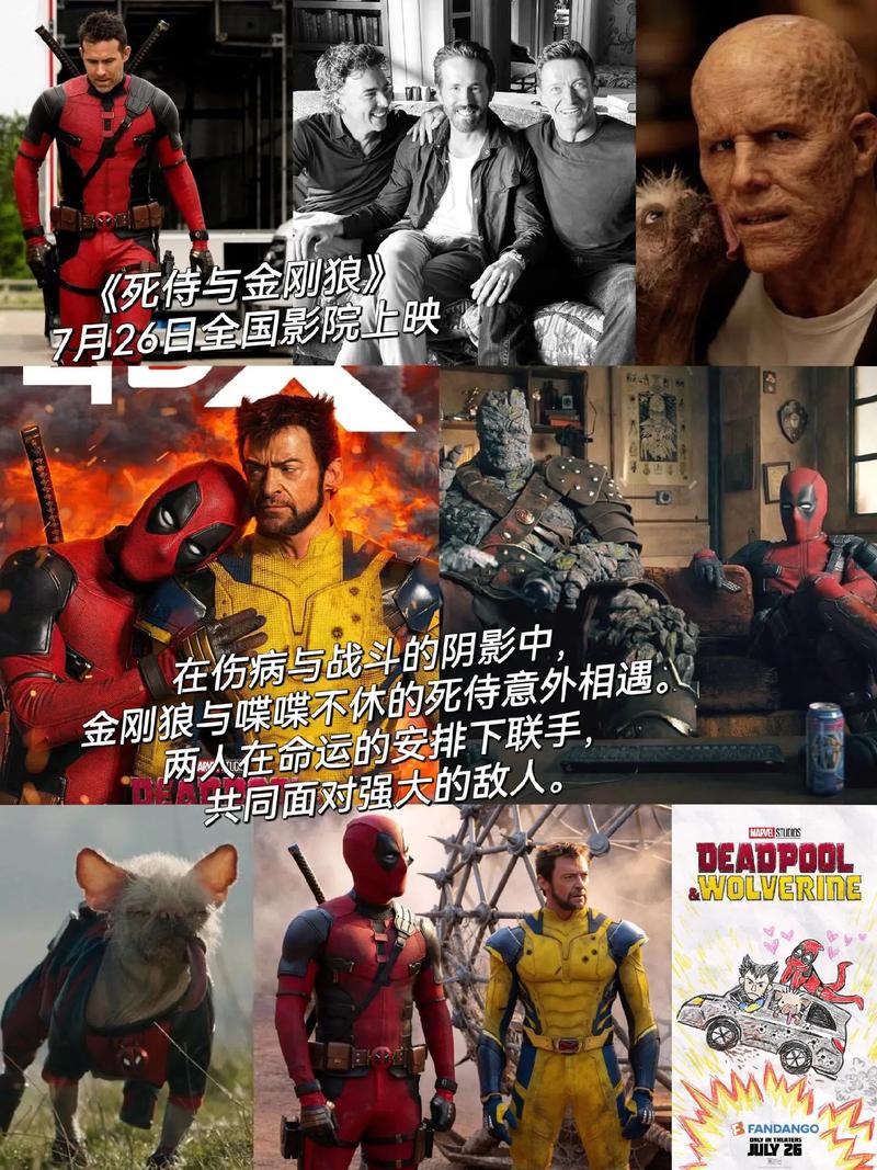 电视剧三体在线观看免费 | 刘慈欣科幻巨制全集 | 国产高分悬疑剧高能解说