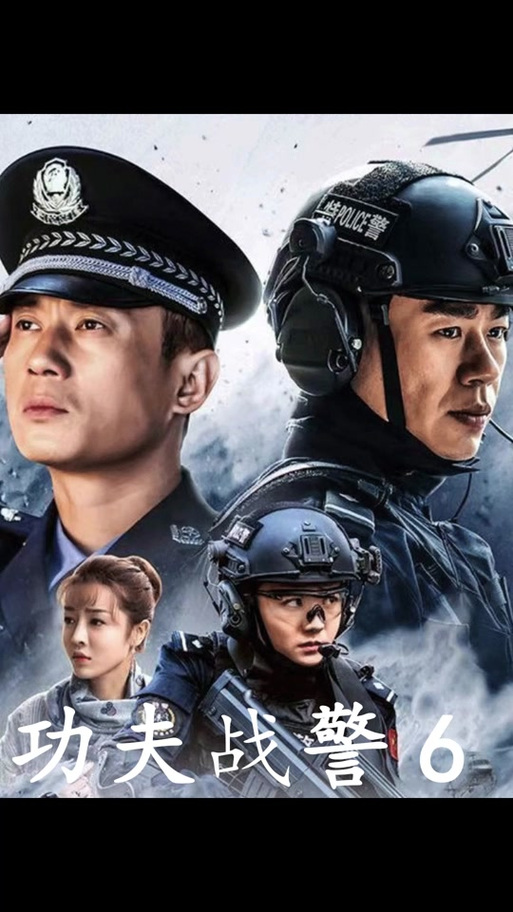 《功夫战警》免费观看完整版 | 动作警匪、高清资源、在线播放